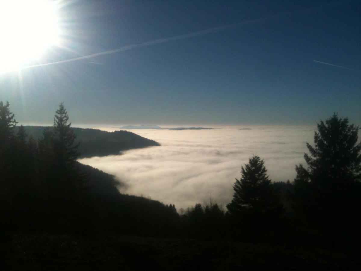 Les Gites De La Serva - Champ Du Feu - Montagnes- Vosges بلمونت المظهر الخارجي الصورة